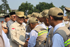 Berapa Gaji dan Fasilitas PPIH Arab Saudi? Ini Rincian Hak Petugas Haji