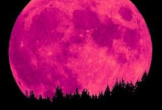 Mengenal Fenomena Pink Moon: Asal-usul Nama dan Makna di Baliknya