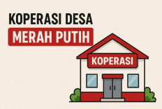 Lowongan Kopdes Merah Putih 2026: Syarat Lengkap dan Cara Daftar Online