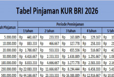Tabel Angsuran KUR BRI 2026: Cicilan Pinjaman 50 Juta Hingga 100 Juta 