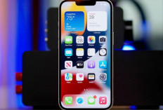 Tips Beli iPhone Second/Bekas Agar Tidak Tertipu dan Bebas Kena Blokir IMEI