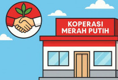 Ingin Daftar? Cek Dulu Gaji Manajer Kopdes Merah Putih dan Syarat Masuknya