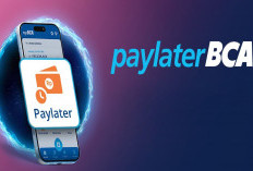 Bunga 0%! Begini Cara Cepat Aktifkan Paylater BCA di Aplikasi myBCA