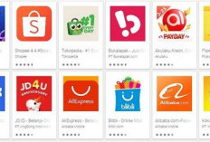 Perbandingan Marketplace Terpopuler: Mana yang Paling Murah dan Banyak Gratis Ongkir?