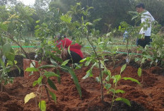 JaF Memungkinkan Semua Orang Miliki 