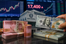 Mengapa Nilai Tukar Rupiah Berfluktuasi? Ini 5 Faktor Utama Penyebabnya