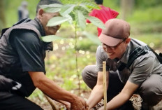 608 Hektar Zona Tradisional Ciremai Layak PKS, BTNGC Tunggu Arahan Dirjen KSDAE