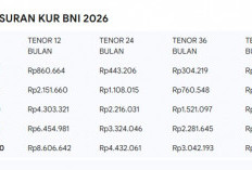 Simulasi Angsuran KUR BNI 2026: Rincian Cicilan Pinjaman 10 Juta - 100 Juta