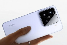 5 Pilihan HP Xiaomi Kamera Terbaik 2026, Hasil Foto Sekelas Fotografer Profesional!