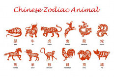 Prediksi Shio 2026: Apa Shio Kamu dan Bagaimana Nasibmu Tahun Ini?