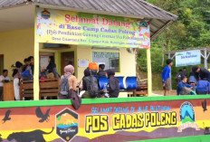 Dibuka Pasca Lebaran 700 Pendaki Ciremai  Pilih Jalur Palutungan, Hiking Jadi Primadona Baru