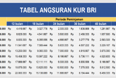 Tabel Angsuran KUR BRI: Pinjaman Rp 50-250 Juta, Cek Simulasi dan Persyaratan Terbaru Maret 2026