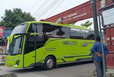 Bawa Rombongan DPRD Pati, Bus Pariwisata Tersangkut di Gapura Tanda Barat