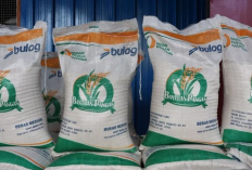 Cara Cek Penerima Bansos Beras 2026 Online Lewat Hp, Mudah Pakai KTP!