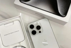 Daftar Harga iPhone Terbaru 2026: Mulai 5 Jutaan hingga Seri Flagship