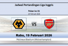 Jadwal Wolves vs Arsenal, Duel Peringkat Atas dan Bawah Klasemen Liga Inggris, Maju Sebab Final Carabo Cup!