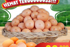 Promo Superindo Protein Fest 28 Okt - 4 Nov 2026: Telur Omega Rp 27.900 & Ikan Tuna Fillet Rp 8.990/100g!