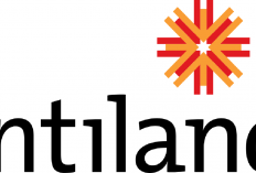 Naik Lebih Dari 25% dalam 1 Bulan, Saham DILD Jadi Sorotan, Lo Kheng Hong Terus Borong