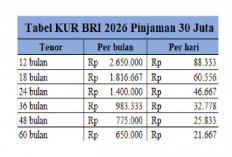 Tabel Angsuran KUR BRI 2026 Pinjaman Rp250-300 Juta: Cicilan Mulai Rp5 Jutaan, Tenor Hingga 5 Tahun