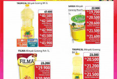 Promo JSM Alfamidi Periode 16 - 18 Januari 2026 Terbaru: Baru Rilis, Cek Katalognya di Sini!