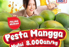 Promo Superindo Pesta Mangga 22-28 Oktober 2026: Mangga Harum Manis Mulai Rp 8.900/kg!