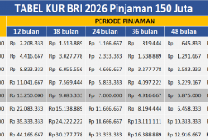 Tenor 5 Tahun, Cicilan 3 Juta per Bulan, Bunga 6% per tahun, Tabel KUR BRI 2026 Plafon Rp 150 Juta Terbaru