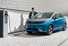 Panduan Lengkap Cara Charging Mobil BYD Auto di Rumah dan SPKLU