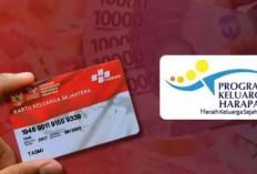 Panduan Lengkap Cara Mengajukan Bansos PKH untuk Keluarga Prasejahtera