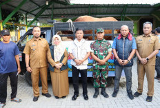 Ratusan Warga Cibogo Argasunya Dapat Daging Sapi Presiden Prabowo
