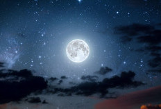 Selain Bulan Purnama Snow Moon, Ini Deretan Fenomena Astronomi yang Siap Hiasi Langit Februari 2026