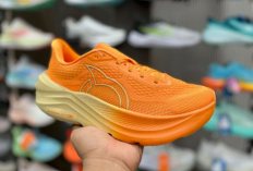 10 Sepatu Lari di Bawah 1 Juta Terbaik Tahun 2026: Mulai dari Brand Lokal Hingga Global!
