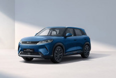 Update Harga BYD Atto 2 Terbaru: Pilihan Varian EV dan Hybrid yang Menggiurkan