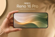 Harga Oppo Reno 16 Terbaru dan Promo Menarik di Bulan Mei 2026