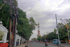 Pemkot Akan Rapikan Kabel-kabel Internet yang Semrawut