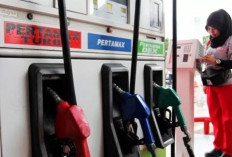 Update Harga BBM Pertamina Dex & Dexlite: Cek Selisihnya di Sini!