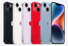 Harga iPhone 14 Kini Hanya Rp7,5 Juta di iBox: Kesempatan Terakhir Sebelum Discontinued!