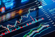 4 Saham Pilihan Pekan Ini untuk Portofolio Anda: MAPI, KLBF, AADI, dan BULL