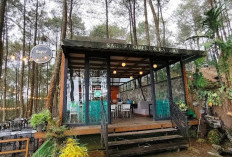 5 Cafe Kuningan Bernuansa Asri di Tengah Hutan Pinus, Cocok Buat Healing