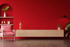 Daftar Warna Pembawa Rezeki di Tahun 2026: Mana Favoritmu?