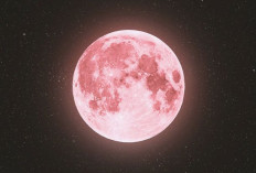 5 Lokasi Terbaik di Indonesia untuk Menikmati Fenomena Pink Moon