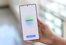 Daftar Lengkap Perangkat Samsung yang Mendukung Update One UI 8.5