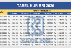 Tabel KUR BRI 2026: Pinjaman 10-100 Juta, Bunga 6%, Simak Simulasi Cicilan Ringannya!