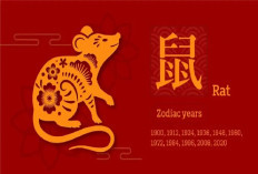 Ramalan Shio Keuangan Tikus Hari Ini 8 Februari 2026 & Strategi Bertahan