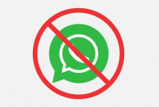 WhatsApp Tiba-Tiba Terblokir? Jangan Panik, Lakukan Cara Ini Agar Akun Kembali!