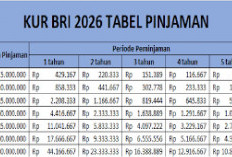 Mulai 20 Ribu Per Bulan? Simak Simulasi Angsuran KUR BRI 2026 Plafon Rp1-50 Juta Terbaru