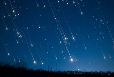 Jadwal Hujan Meteor Terdekat 2026: Waktu Terbaik dan Cara Melihatnya
