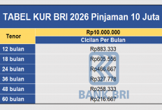 Simulasi Pinjaman Rp 10 Juta Tabel KUR BRI 2026, Angsuran Mulai Dari Rp 200 Ribuan