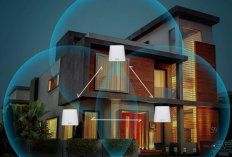 Cara Pasang Sistem Mesh WiFi 7 di Rumah Bertingkat: Solusi Sinyal Tembus Tembok!