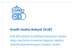 Syarat pengajuan KUR BRI 2026 untuk UMKM: Update Terbaru Awal Tahun
