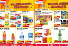 Paling Murah Sejagat! Dancow 1+ Rp 39.9000, di Promo Alfamart Minggu Ini Periode 1 - 7 Maret 2026